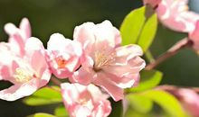 9月有望转运的4大生肖，好运降临挡也挡不住，看看有你吗？