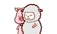 1995出生的生肖猪2020年多少岁？财富是否有收益