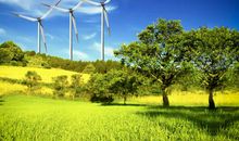 属兔女和属猪男结婚会离婚吗 能不能过一辈子(图文)