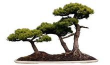 有福临门，有喜登门，有财上门！3大生肖，10月21号后开门红！