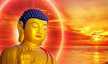 三月起喜鹊枝头叫，善有善报的五生肖！喜事接二连三，事业一路兴旺