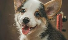 小测试：你的隐藏闪光点是什么？