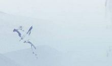 在线算命起名大全,属虎的人2020年财运运势