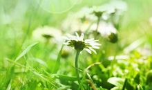 未来7天火力全开，这3大生肖运势如虹，财运大爆发，生活富无忧