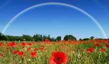 属鼠卯时出生好不好，祖辈深厚根基庇佑