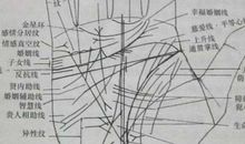 手相测试，通过生命线看健康状况，感情线看爱情状况