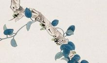 2020年1月24号腊月三十除夕出生的男孩命运好吗，大旺兴隆的命局