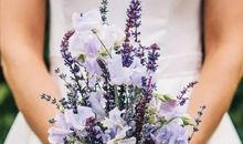 2020年农历二月和三月生肖属鼠和生肖属狗宜结婚黄道吉日