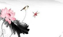 2020年丑时出生的生肖属鼠人是什么命，未来前途光亮，非富则贵