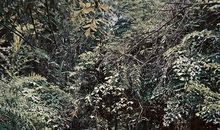 测你的爱情幸运地在哪，单身必进