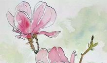 2020年2月19号正月二十六出生的男孩命好不好，起什么名字运势好