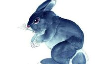 2020年富贵又多金，开心又快乐的4个生肖