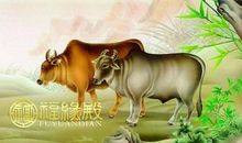 1961年属牛人的命运福寿双全