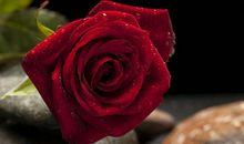 2月3大生肖运势令人羡慕，金当床银当被，金银珠宝源源不断！