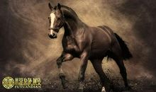 2014年属相，2014年是什么生肖年