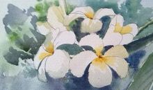 2020年2月17号正月二十四出生的男孩命运好吗，起什么名字运势好