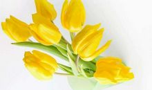 喜鹊疯狂叫的三属相，11月15-18号，喜鹊叫不停，添财招贵