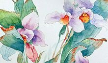 2020年2月16号正月二十三出生的男孩命好不好，起什么名字吉祥