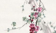 2020年10月23号霜降出生的女孩参考四书五经取名字