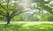 16、17、18号前有靠山、后有贵人，财气冲天，3生肖金银滚滚到，天天开口笑