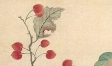 2020年5月11号出生的女孩起什么名字好，五行属什么