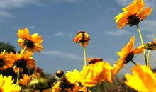 2020鼠年农历八月出生的男孩命运解析，四十岁后运势达到巅峰