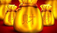 今年财运不错，获利颇丰
