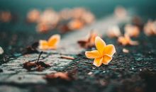 1月下旬走大运，有望当富翁三生肖，大发横财，一夜暴富身价千万