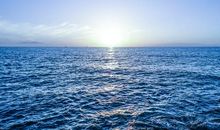 三月运势高升，横财大旺，婚姻美满的五大星座