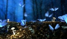 2020年幸福美满的5星座，用情专一，不会无理取闹