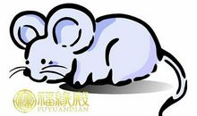 2008年属鼠的人明年运势