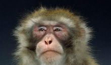 1.31号开始，鸿运当头，咸鱼翻身的4个生肖，贵人多财运旺！