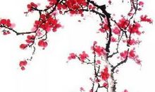 2020年10月28号出生的女孩起什么名字高分有诗意，五行属什么