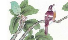 2020庚子鼠年3月6号出生的人性格命运解析，五行八字查询