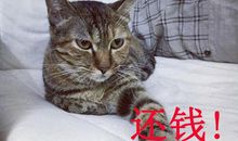 12星座如何暗示朋友还钱？