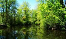 近段时间前任会回头认错，破镜重圆的星座！