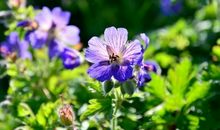 3月3—3月10号期间，这四生肖横财大发不停，苦尽甘来，走大运赚大钱！