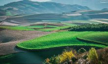 财字当头的三生肖，12月18.19号，大运难挡，金银无穷