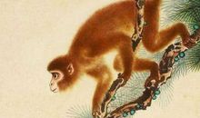 下个月起，贵人相助，好运连绵的3大生肖