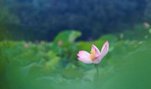 苦尽甘来3生肖，2月进入上上签，横财入命，喜事进门，福来运到