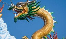 属龙人2019年运势