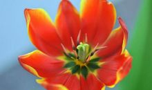 人算不如天算，15号五福临门，16号六六大顺，3生肖财走上坡路，运势喜洋洋