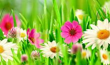 2月份让人羡慕的3大生肖，最近喜事连连，好运不断