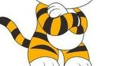 (虎丶蛇丶猴丶猪)11月10日以上四个犯太岁生肖年运提醒 !