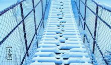 2020年1月6日小寒出生的生肖属猪人命运如何？(图文)