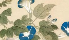 2020年5月9号出生的女孩起什么名字好，是什么星座