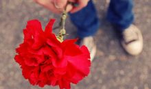 12星座为挽回伴侣做的傻事