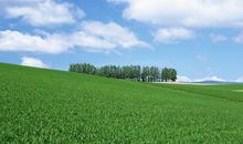 属兔女和属兔男的相配吗 婚姻状况怎么样(图文)