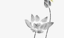 2020年3月28号出生的男孩起名宜用什么字，五行属什么