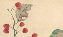 2020年5月8号出生的女孩起什么名字好，五行属什么